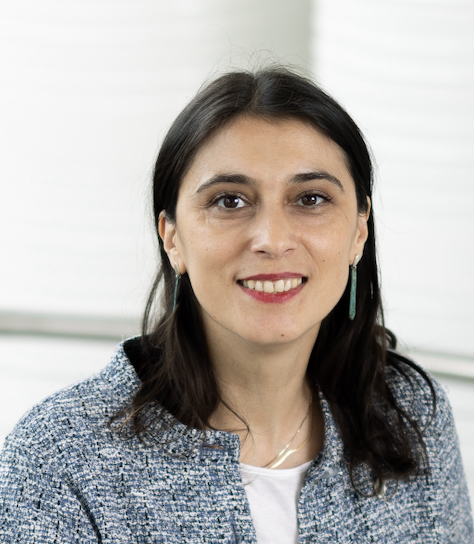 Marija Slavkovik Marija Slavkovik